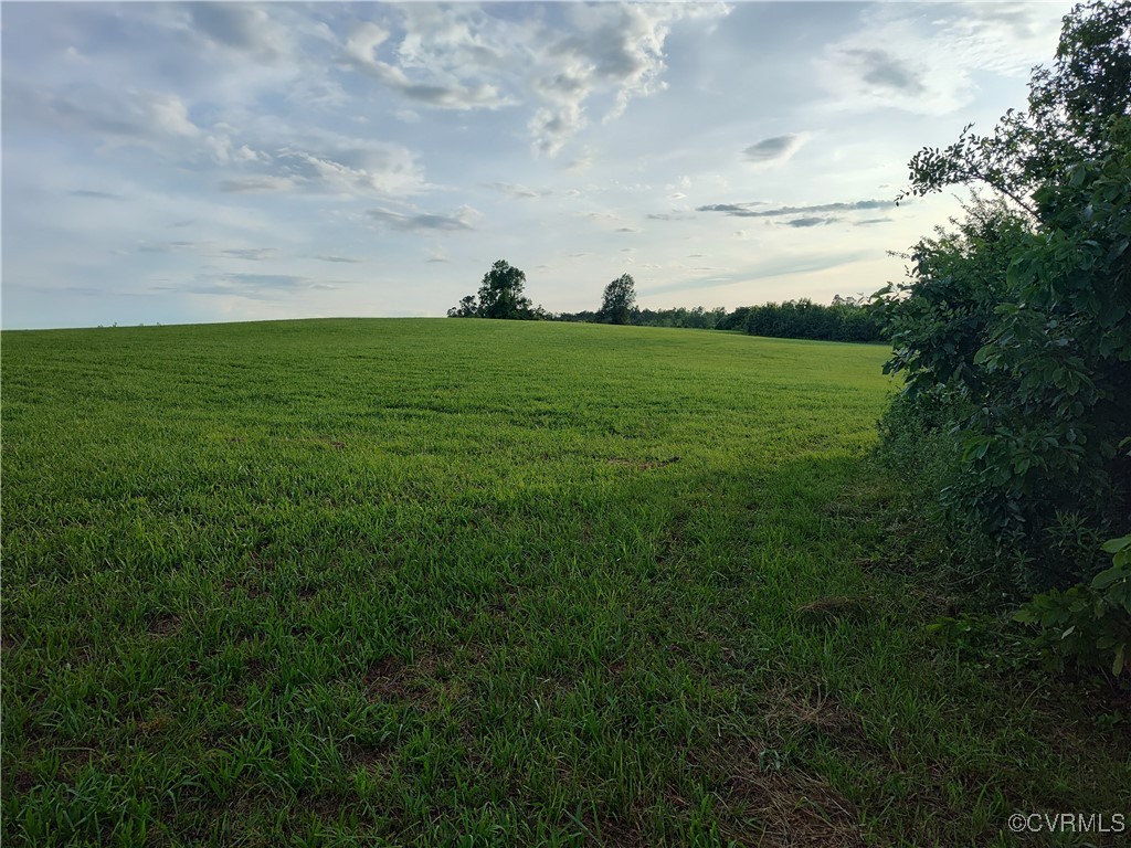 878 Dusty Road Crewe, VA 23930 - Photo 37 of 50 a view of a grassy field
