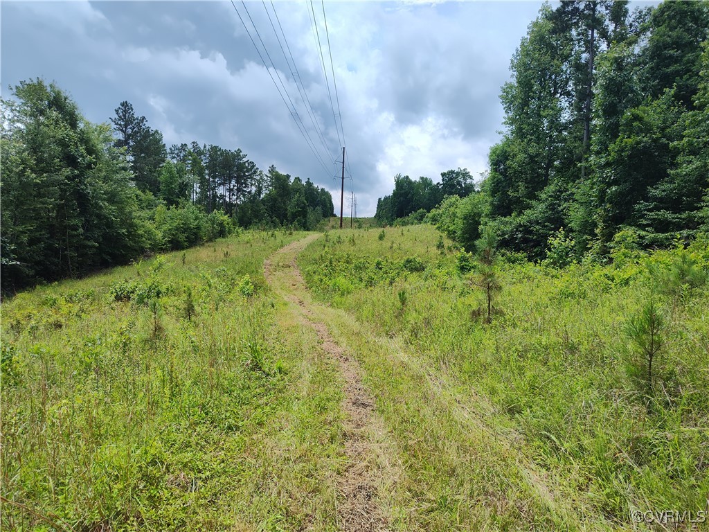 878 Dusty Road Crewe, VA 23930 - Photo 42 of 50 a view of a lush green space