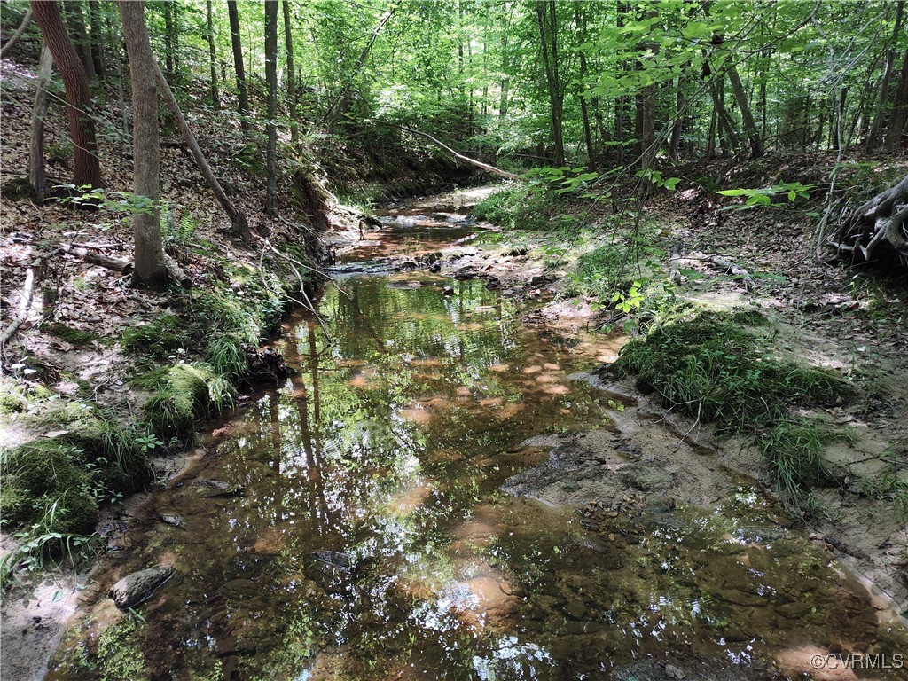 878 Dusty Road Crewe, VA 23930 - Photo 46 of 50 a view of a forest with lots of trees