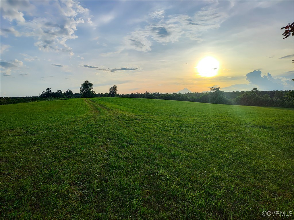 878 Dusty Road Crewe, VA 23930 - Photo 6 of 50 a view of field with grass and trees