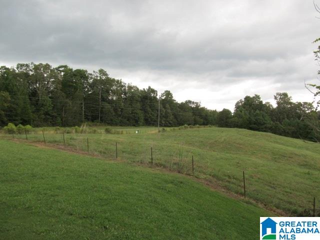 79 Highway 79, Unit 33 Cleveland, AL 35049 - Photo 2 of 32