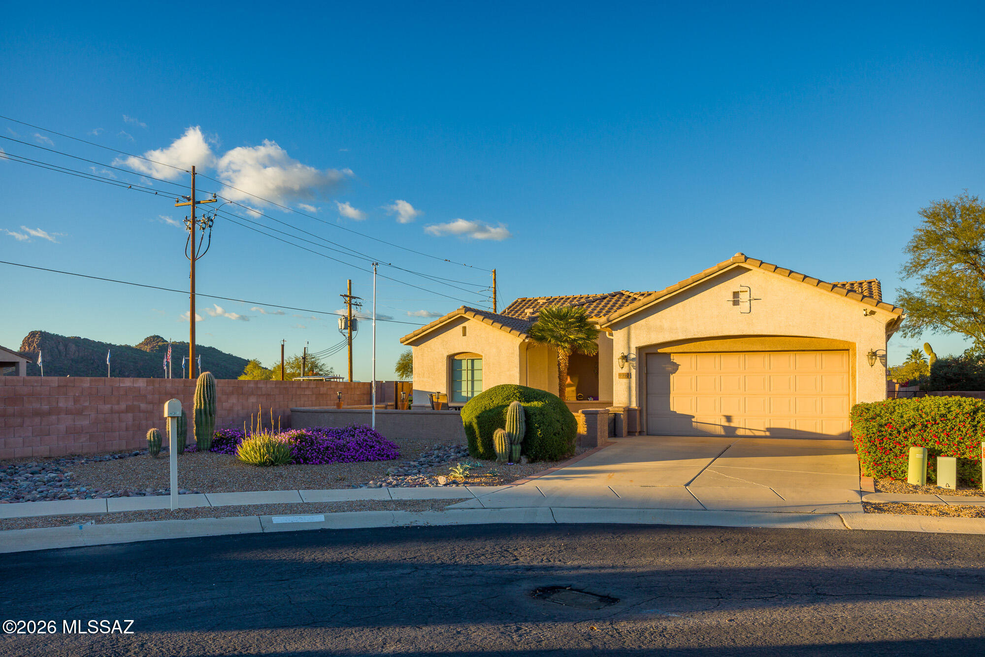9990 North Scarlet Ranges Lane Tucson, AZ 85743 - Photo 28 of 30