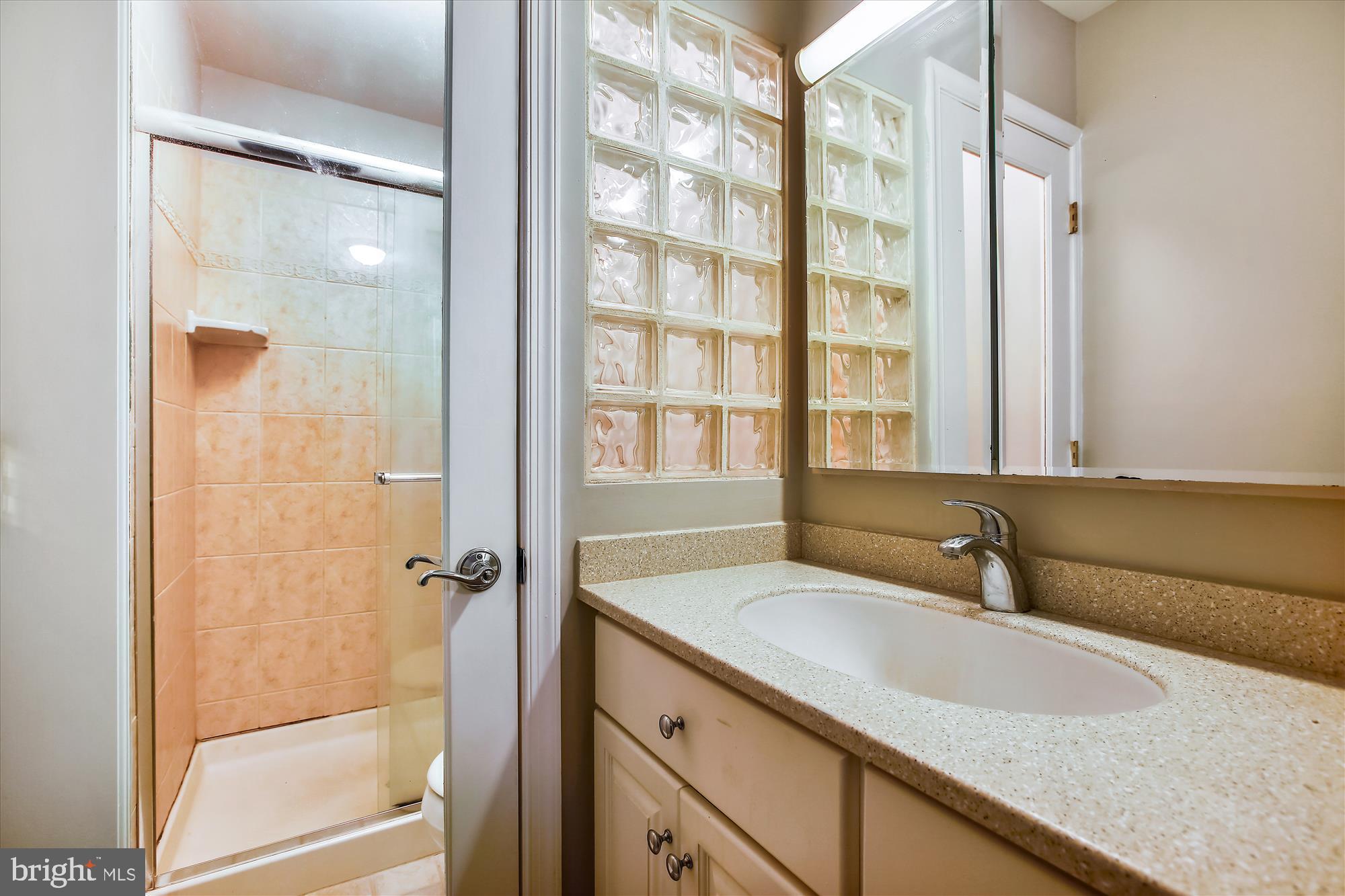 11042 Saffold Way Reston, VA 20190 - Photo 29 of 50 Primary Bath
