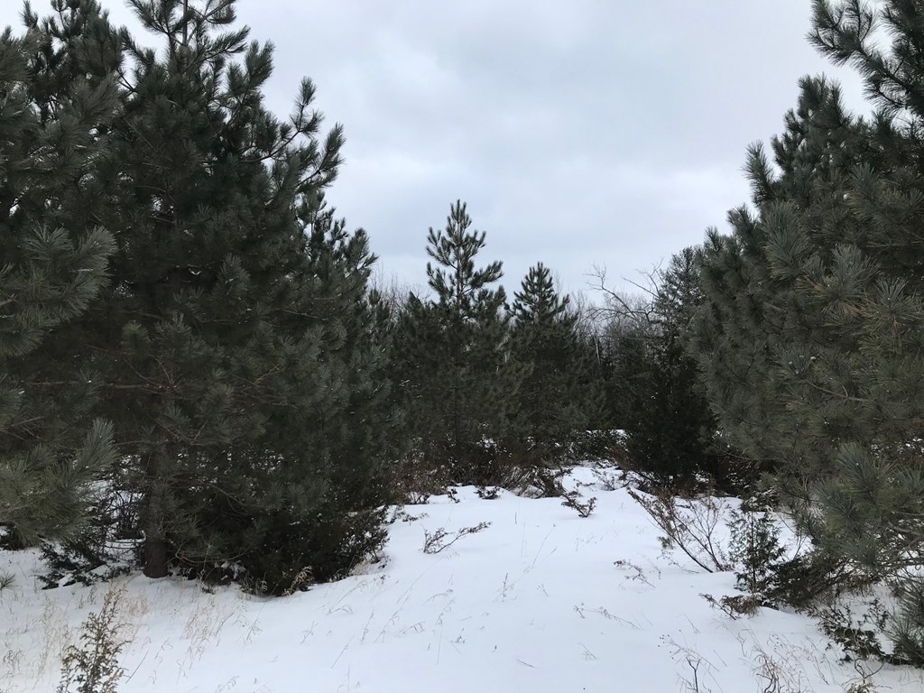 West Meadow Road Baileys Harbor, WI 54202 - Photo 4 of 11