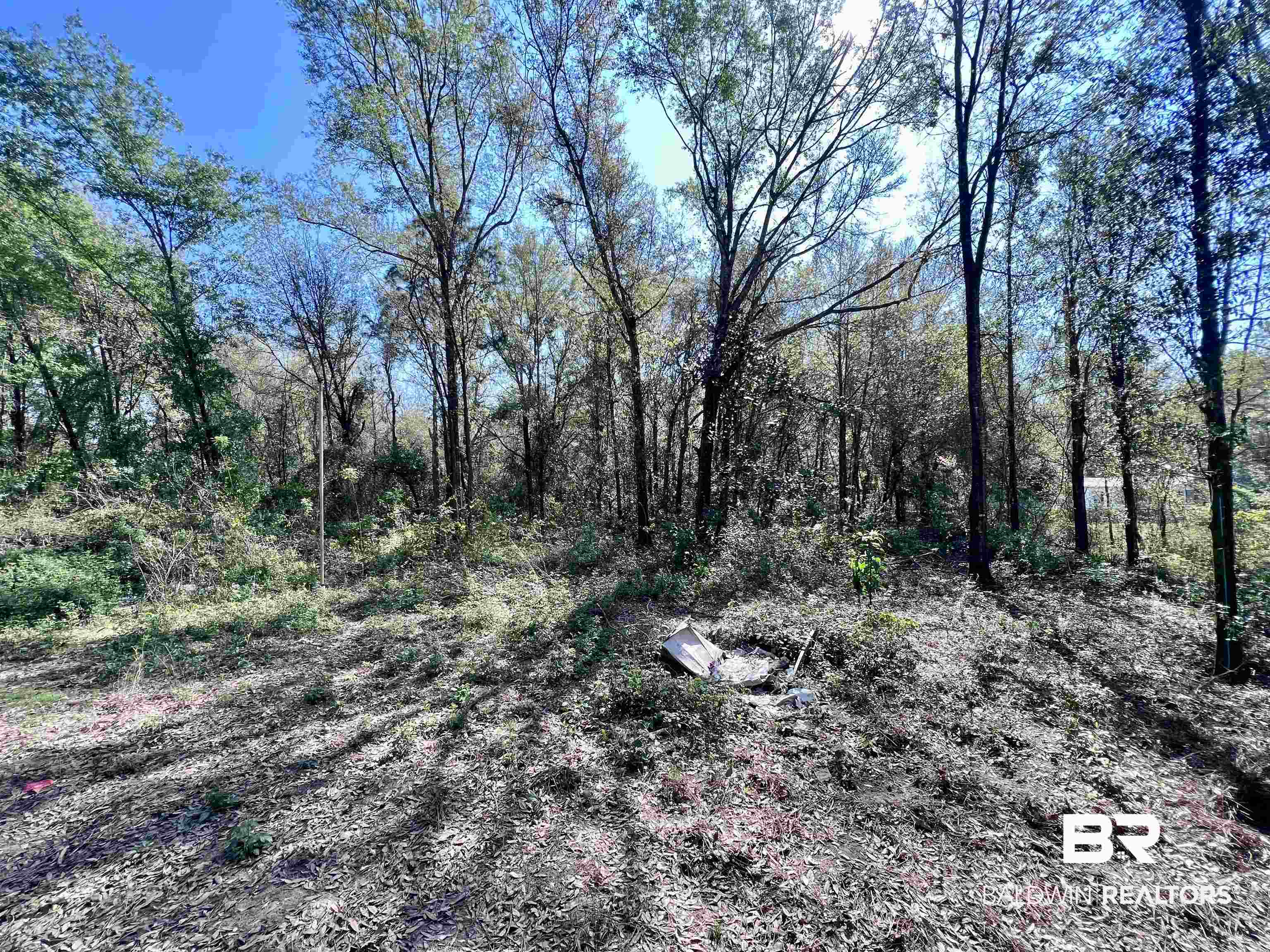 19338 3 Rivers Road Seminole, AL 36574 - Photo 2 of 20