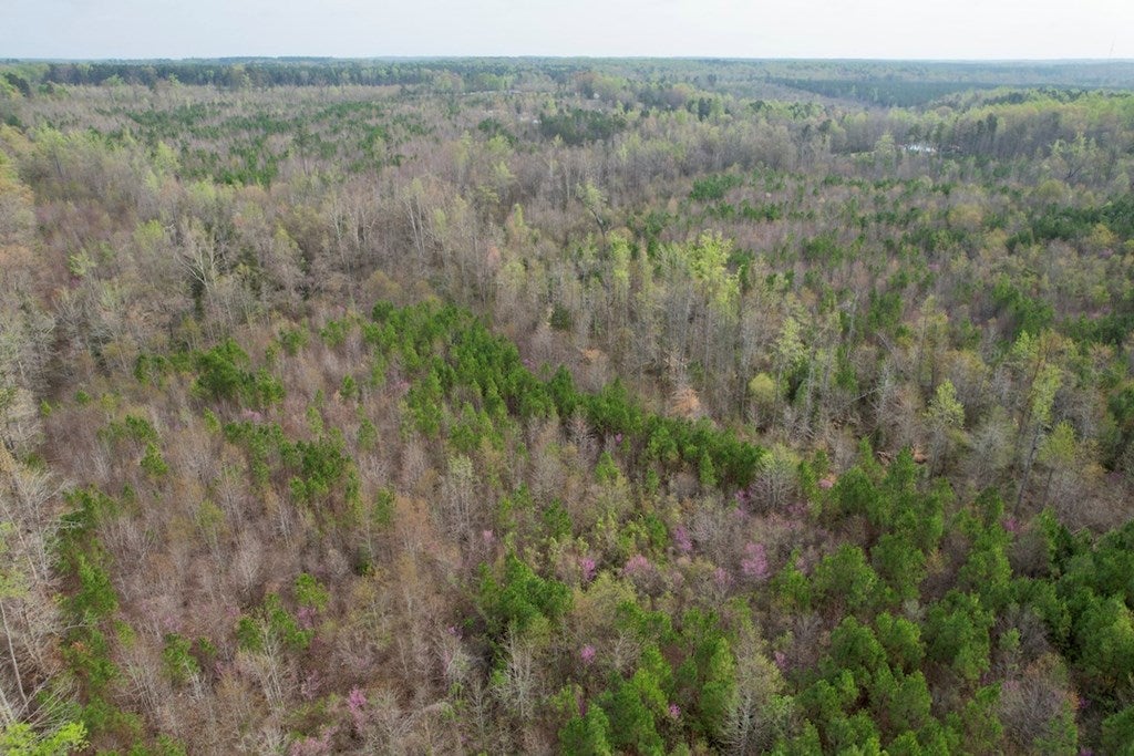 600 Snead Spring Road Crewe, VA 23930 - Photo 28 of 33 Gallery Image 28