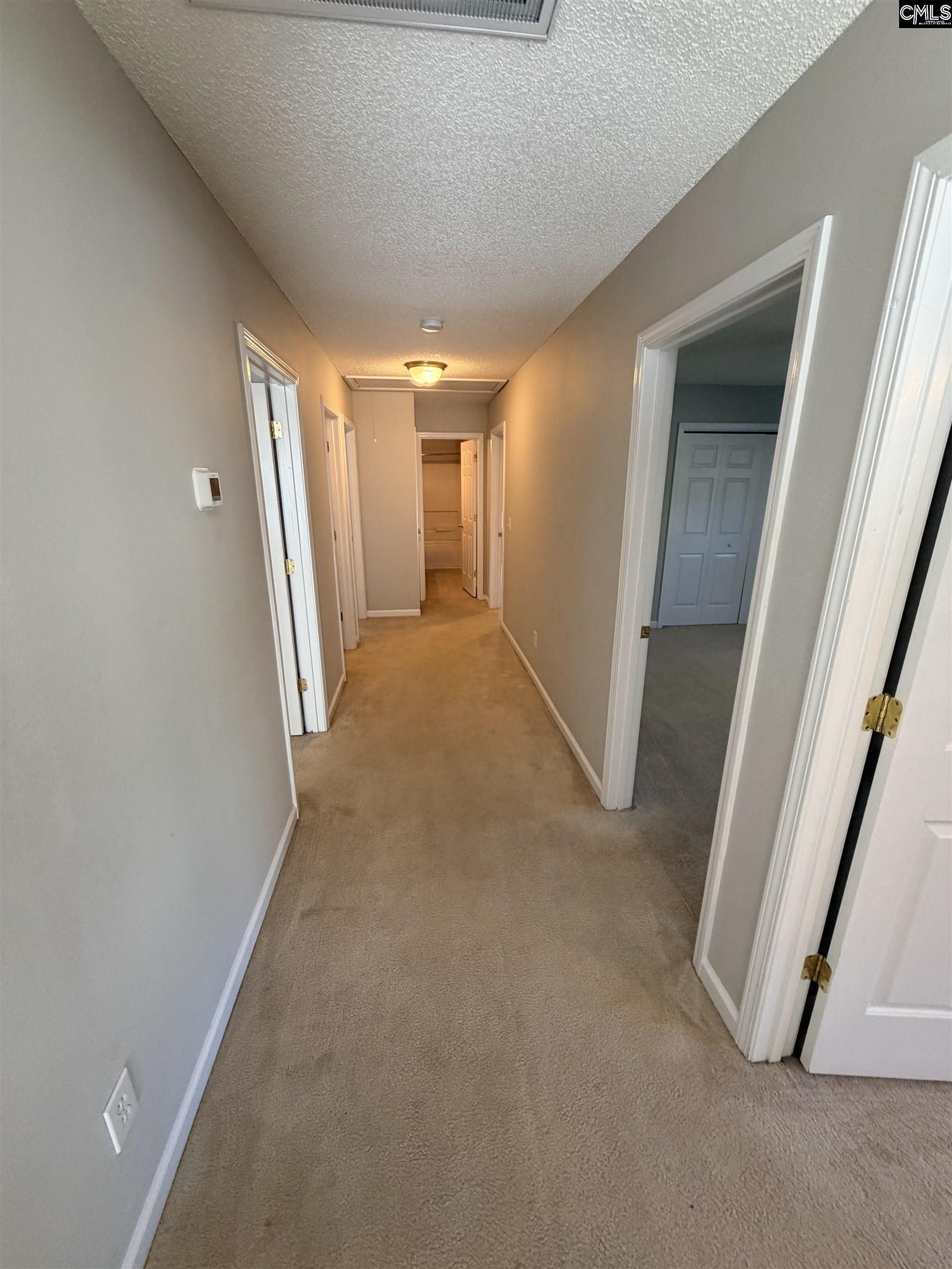 5 Redbrush Court Chapin, SC 29036 - Photo 24 of 36