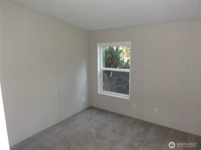 a view of a garden with large trees