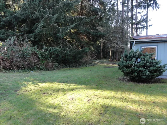 a view of a backyard with potted plants