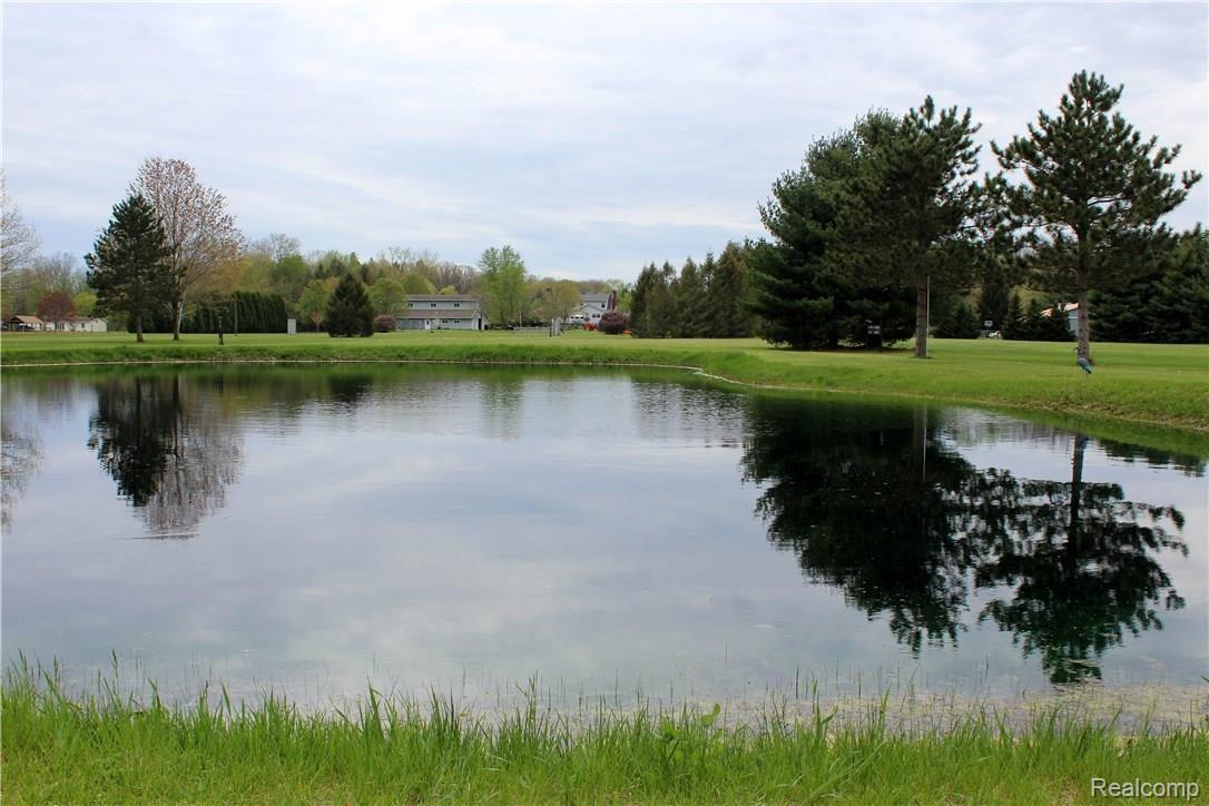 16163 Bak Road Belleville, MI 48111 - Photo 56 of 62 IMG_1552.JPG
