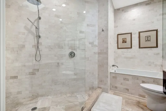 a bathroom with a shower and toilet