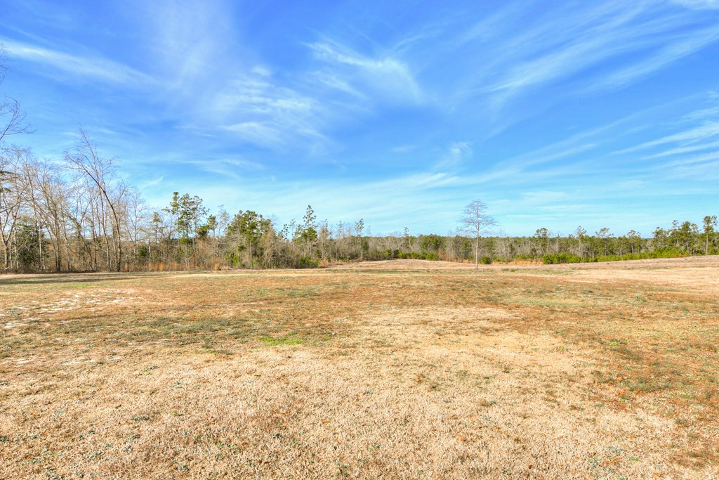 4548 Luckeys Bridge Road Dearing, GA 30808 - Photo 28 of 30