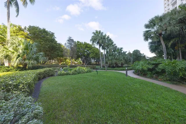 a view of a park with a tree in the background