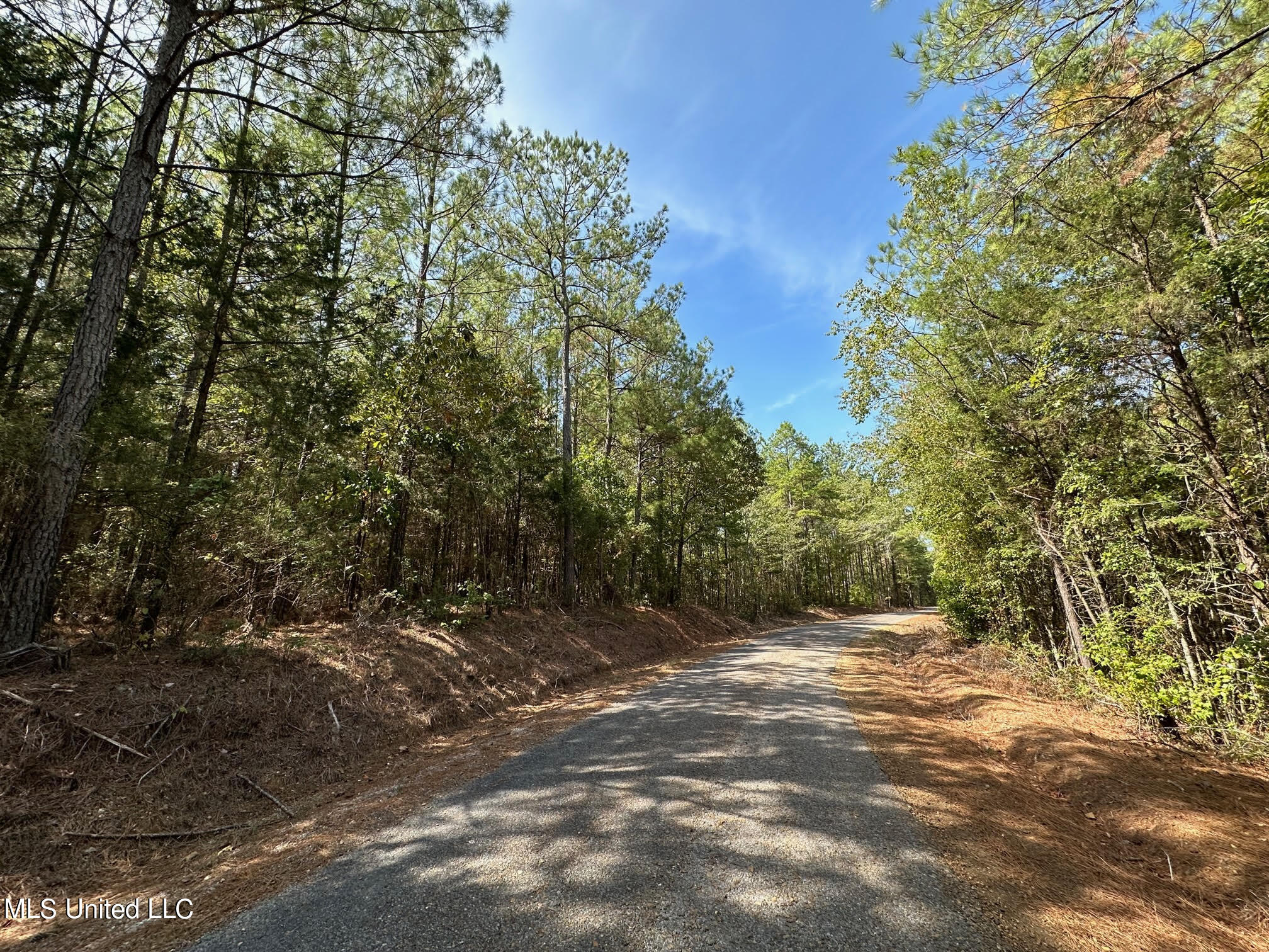 1 Whalen Road Kosciusko, MS 39090 - Photo 3 of 10 31