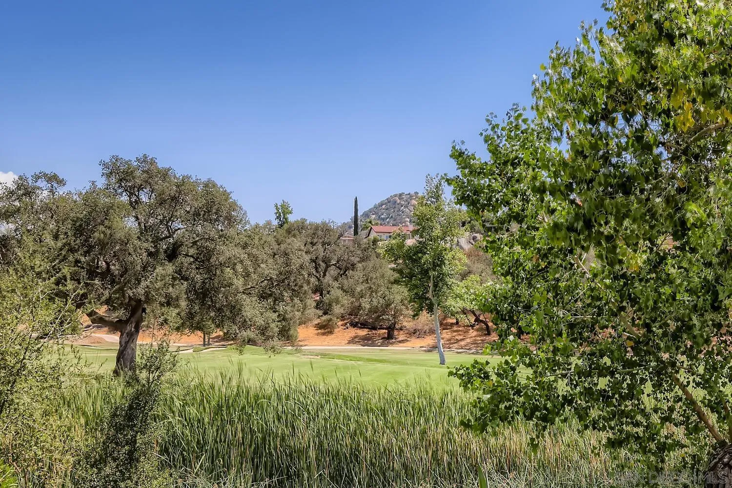 23949 Green Haven Lane Ramona, CA 92065 - Photo 28 of 28 a view of a field of grass and trees