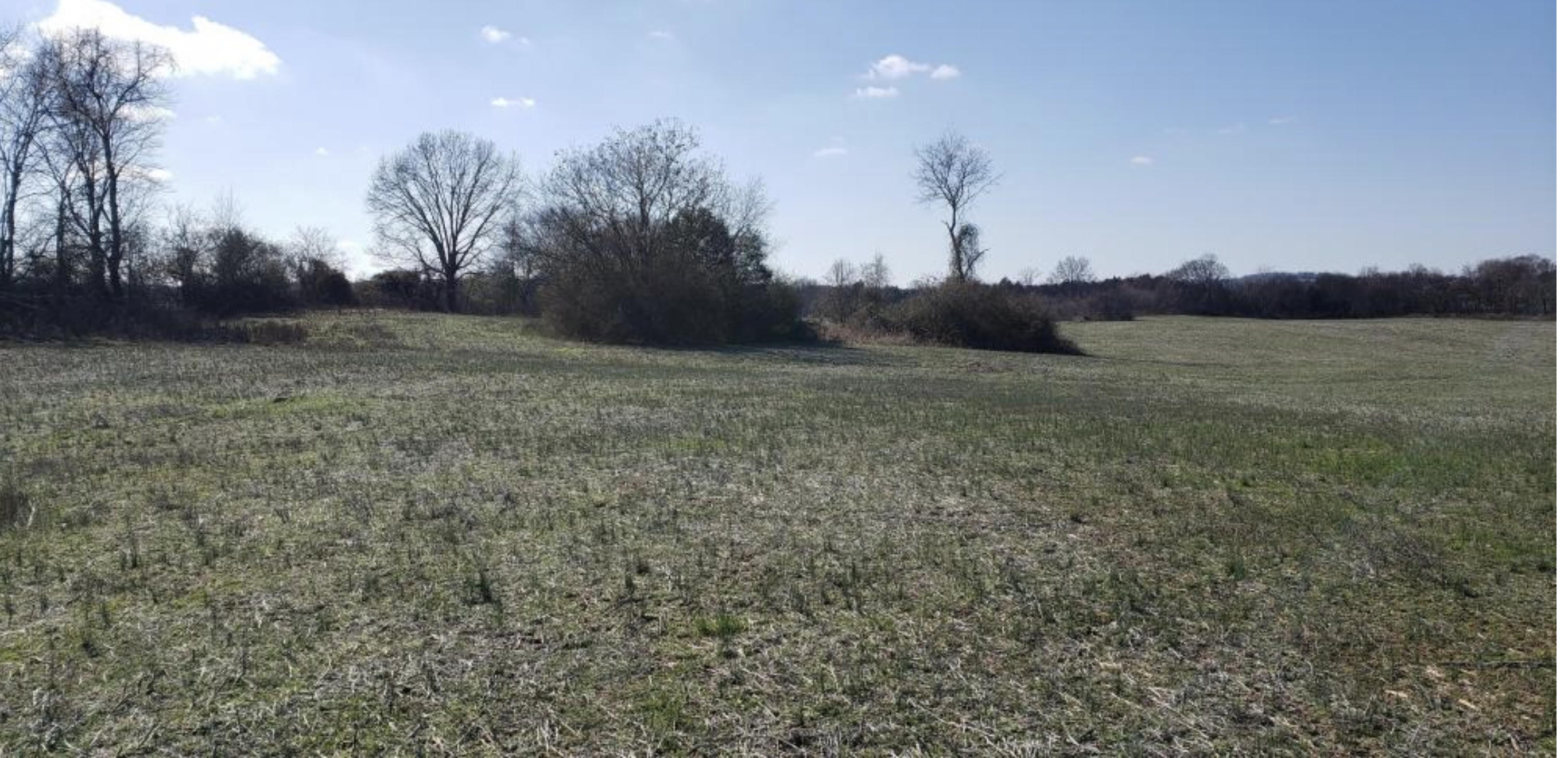 0 Rugel Road Talbott, TN 37877 - Photo 1 of 2 865D9F40-88A9-4C51-932E-1E0219432BC5