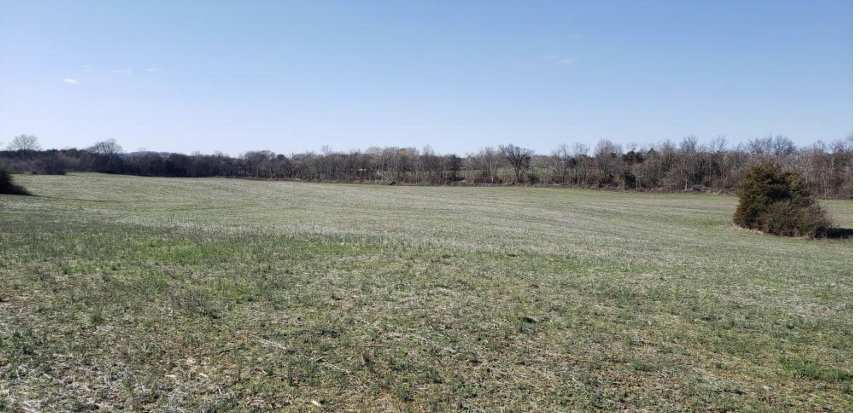 0 Rugel Road Talbott, TN 37877 - Photo 2 of 2 71190D4E-E929-40C3-BD2B-6F6ECF3A25BD
