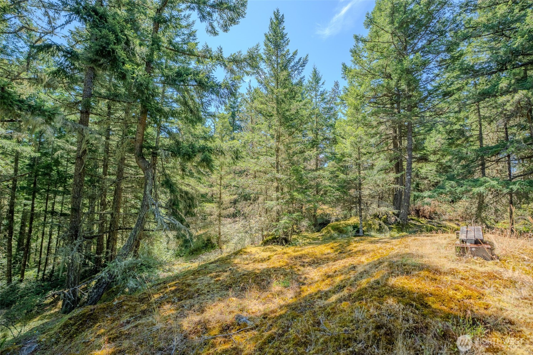 678 Swan Road Orcas Island, WA 98245 - Photo 15 of 39