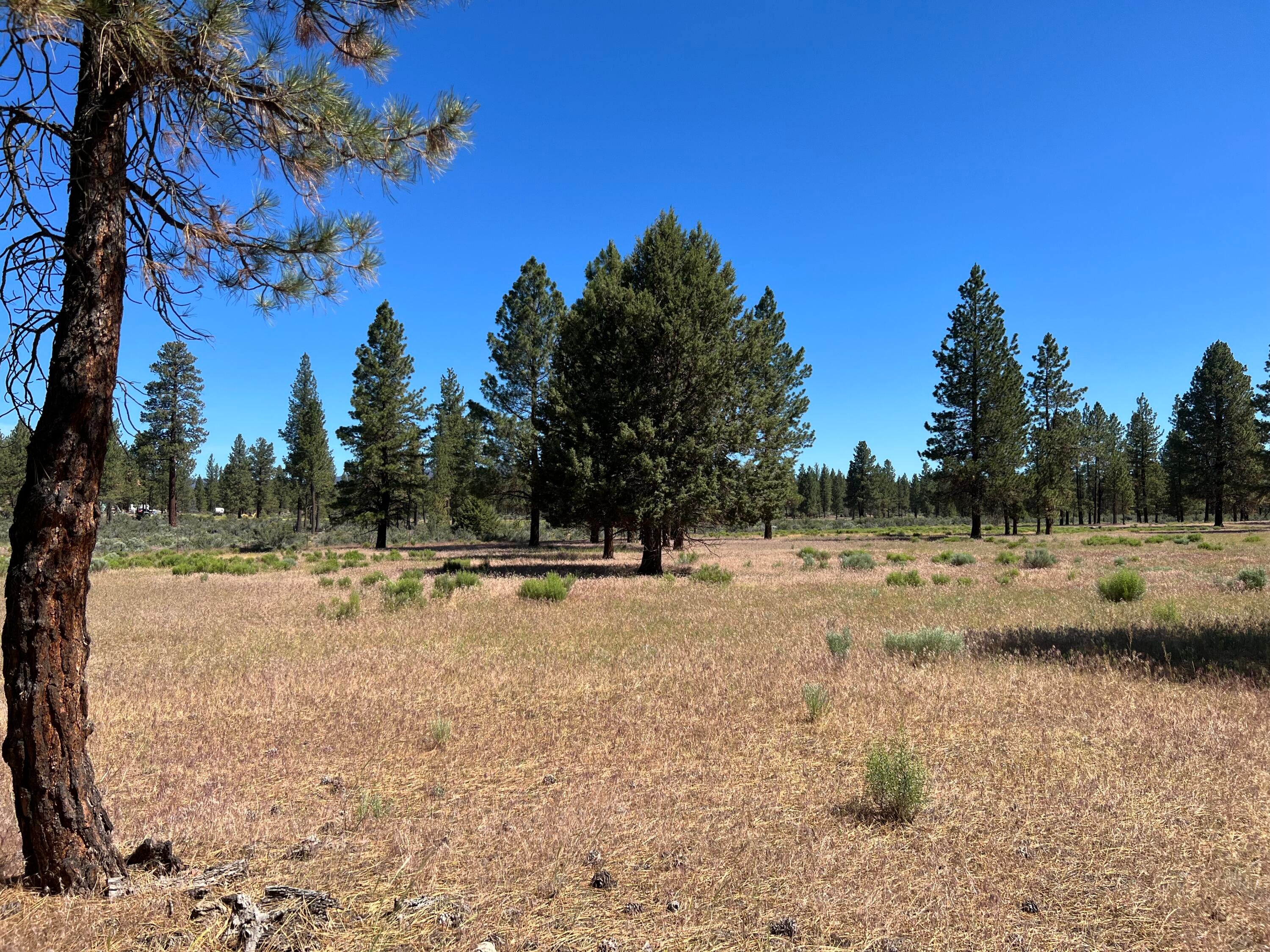 46612 Sycan Road Beatty, OR 97621 - Photo 5 of 16 IMG_0166