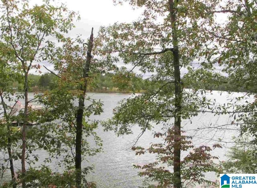 2844 County Road 256 Wedowee, AL 36278 - Photo 33 of 50