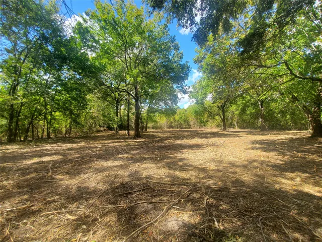 a view of dirt field with trees