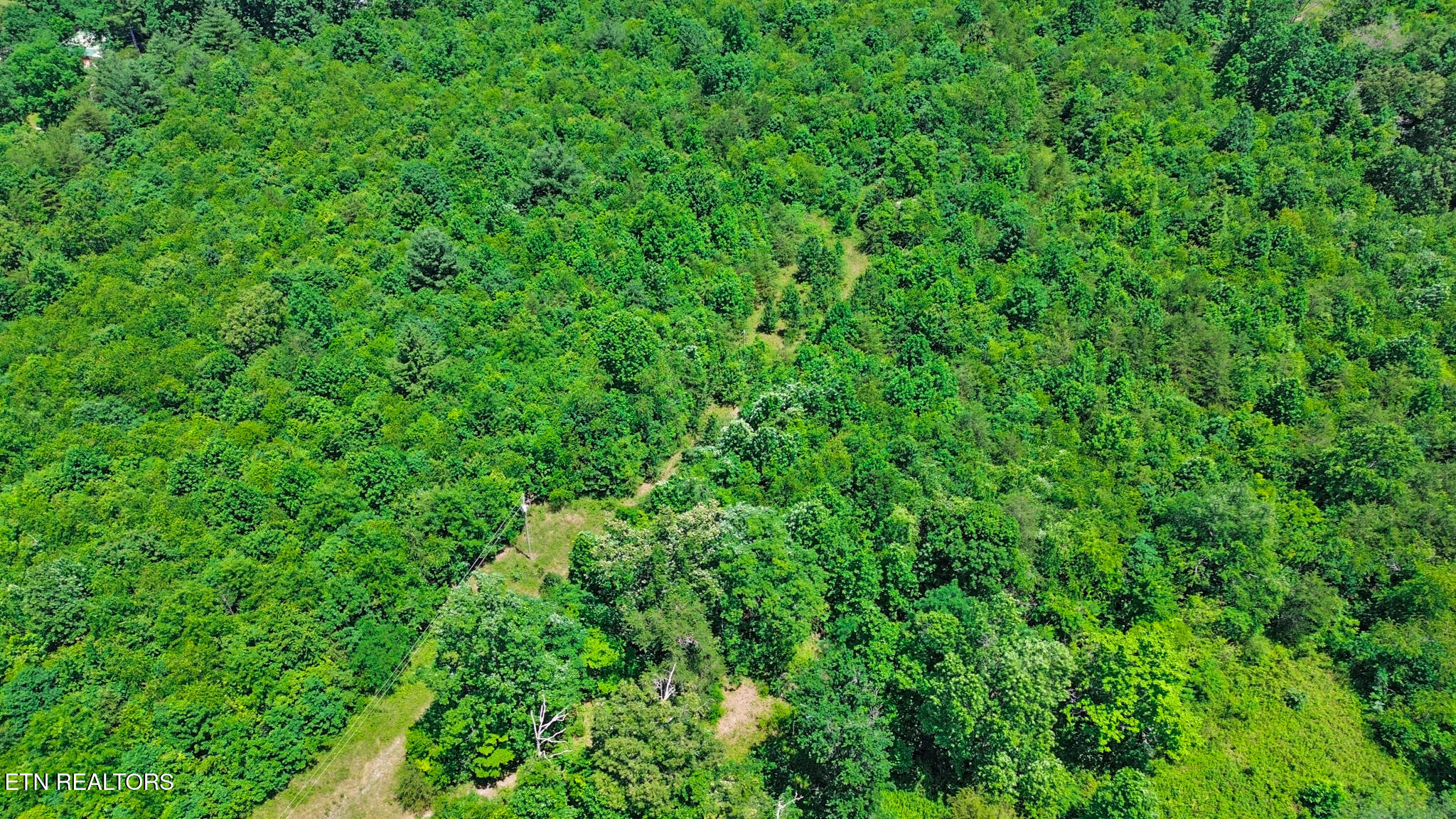 Adams Creek Road Crossville, TN 38571 - Photo 5 of 5 dji_0581-dji_0583