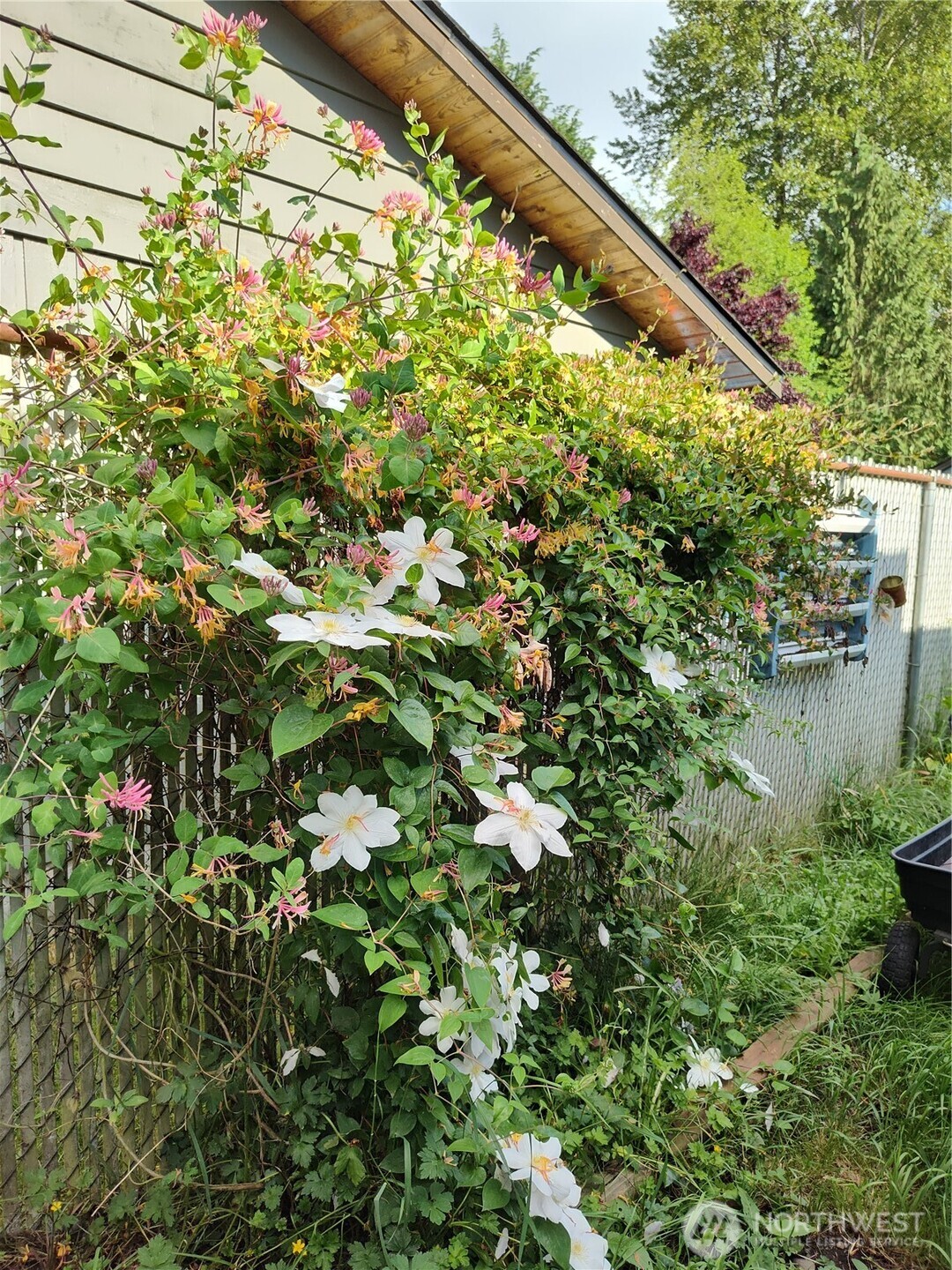 208 West Galena Street Granite Falls, WA 98252 - Photo 38 of 40