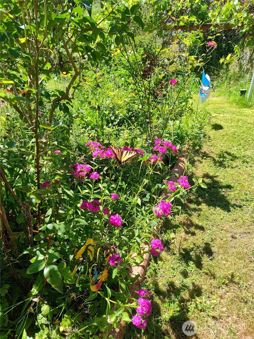 208 West Galena Street Granite Falls, WA 98252 - Photo 40 of 40 a view of a flower in a garden