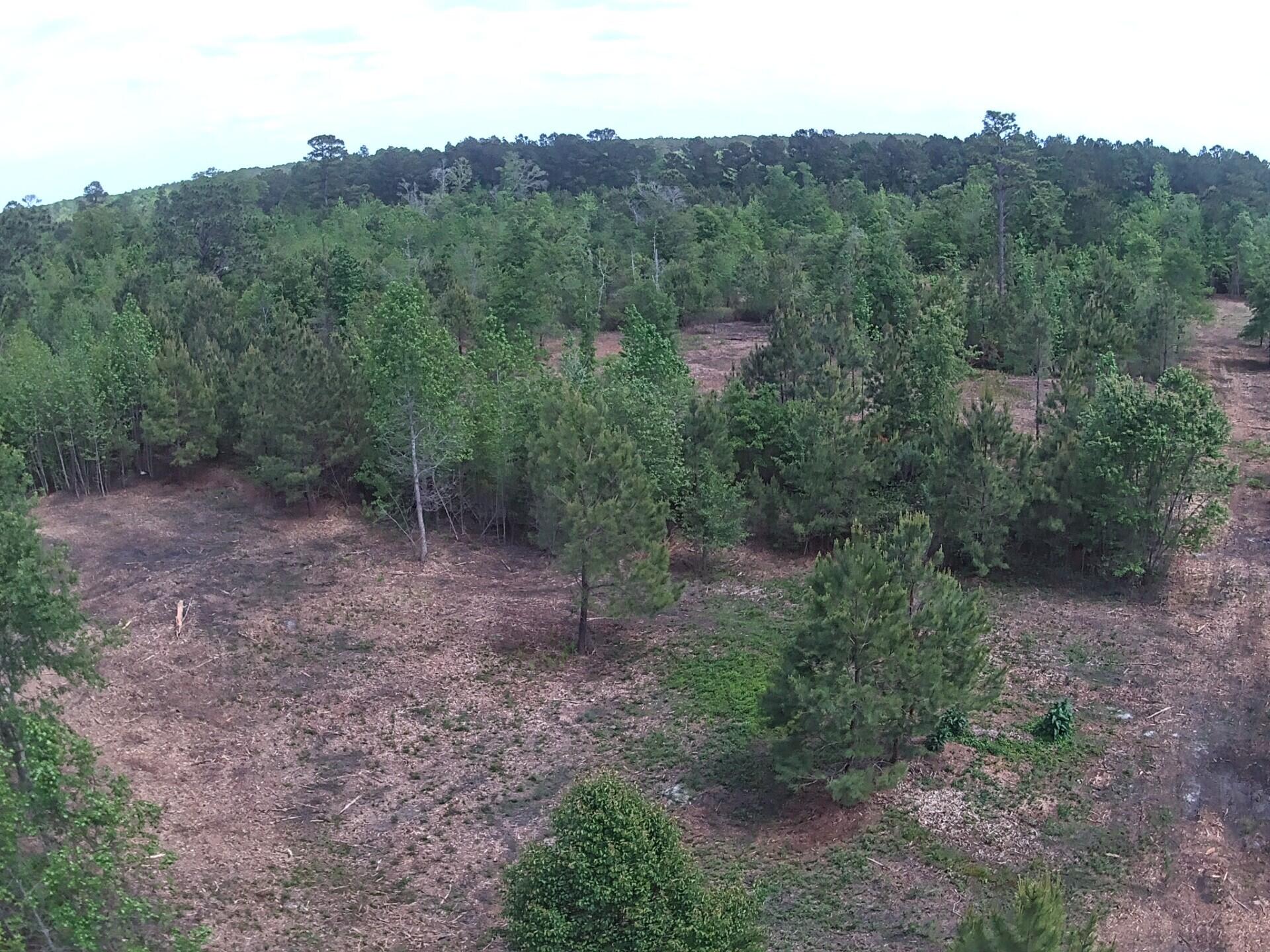 1 County Rd S-18-610 St. George, SC 29477 - Photo 11 of 22 al66