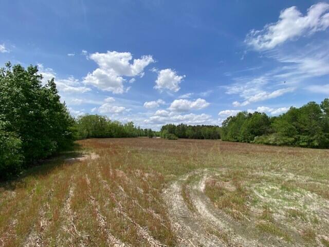 1 County Rd S-18-610 St. George, SC 29477 - Photo 3 of 22 al4