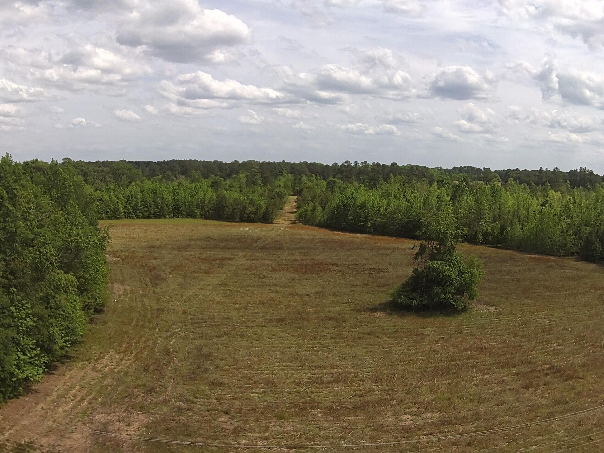1 County Rd S-18-610 St. George, SC 29477 - Photo 10 of 22 al77