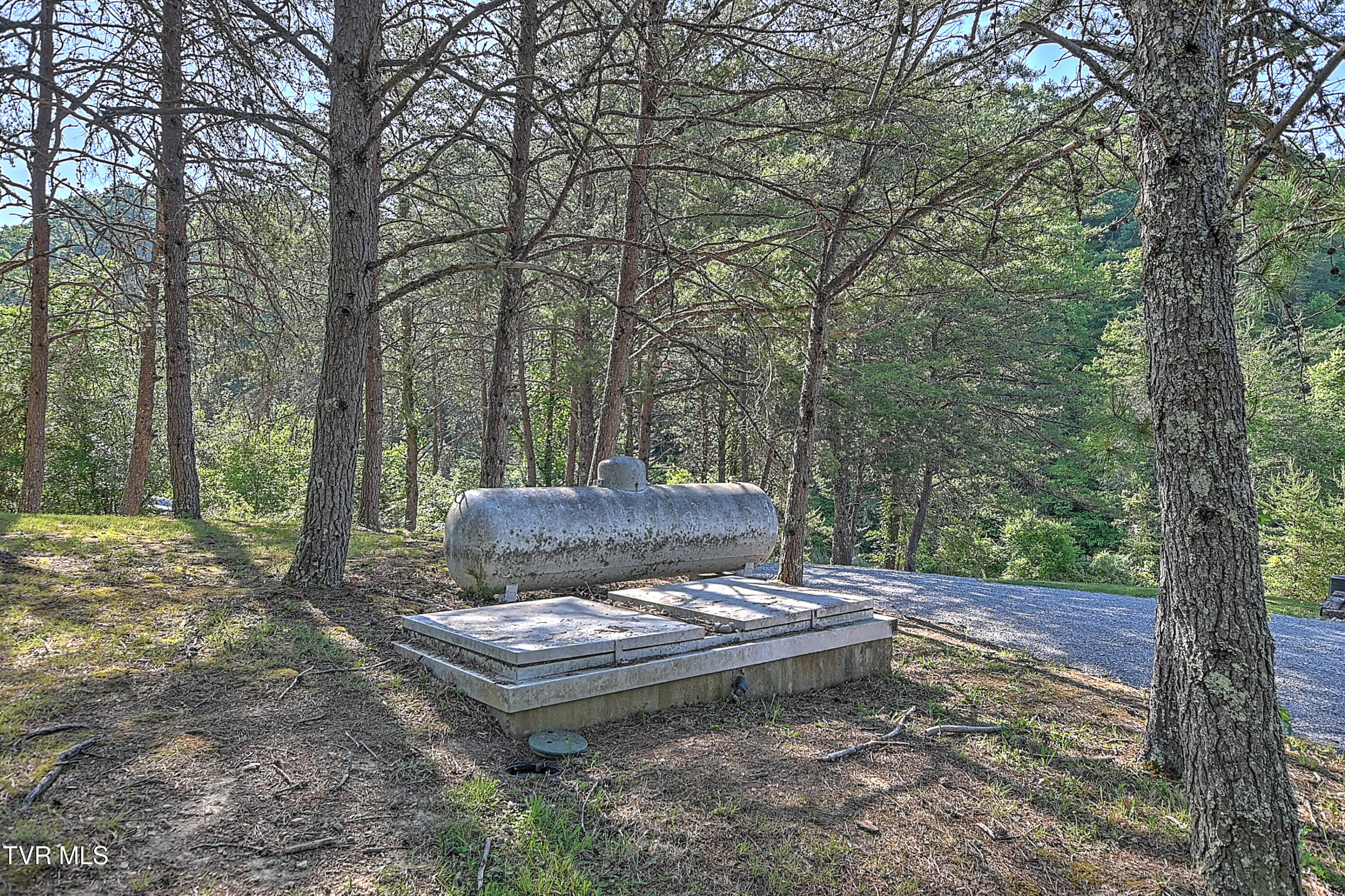 3388 Flower Gap Road Blackwater, VA 24221 - Photo 25 of 161 3388 Flower Gap Rd DS-24
