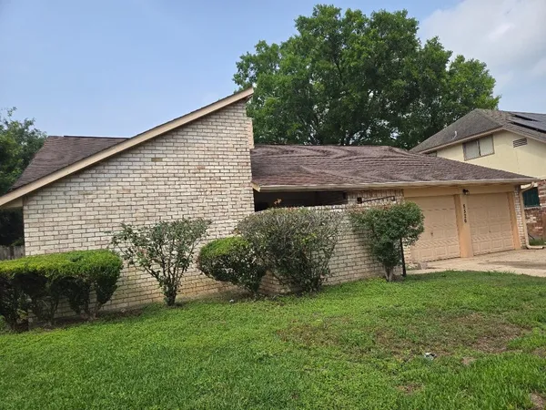 a view of a backyard with plants and a large tree