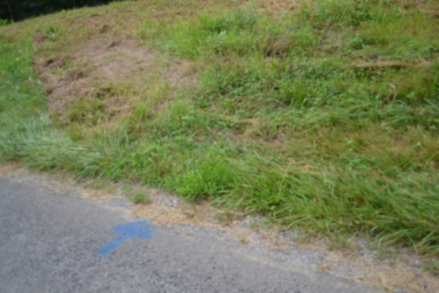 0 Pea Ridge Fire Tower Road Celina, TN 38551 - Photo 27 of 59