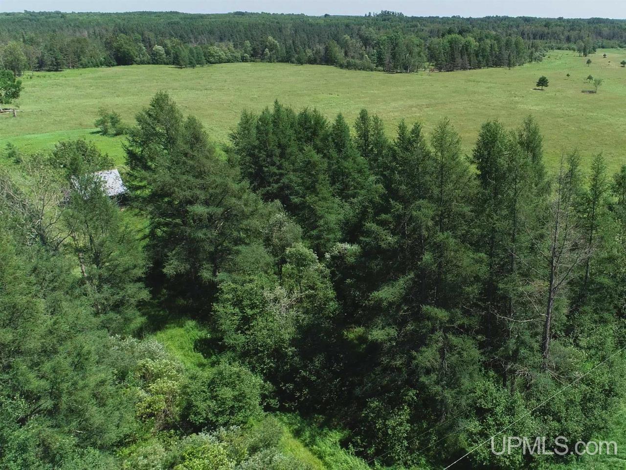 14752 Airport Road Rock, MI 49880 - Photo 24 of 26