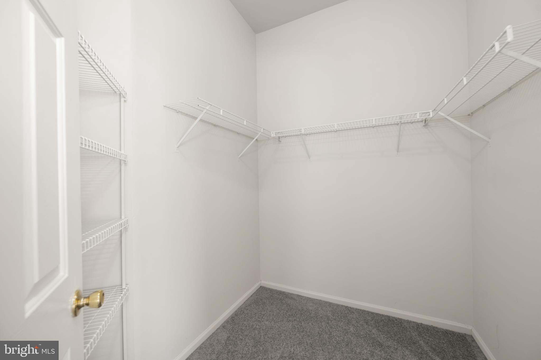 151 Redden Lane Middletown, DE 19709 - Photo 25 of 34 Good Size Primary Closet