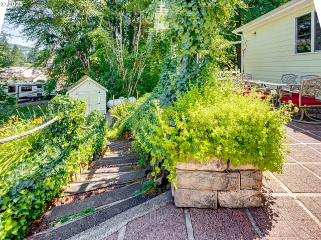 a view of a back yard of the house