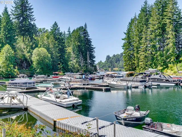 a city view with a lake view