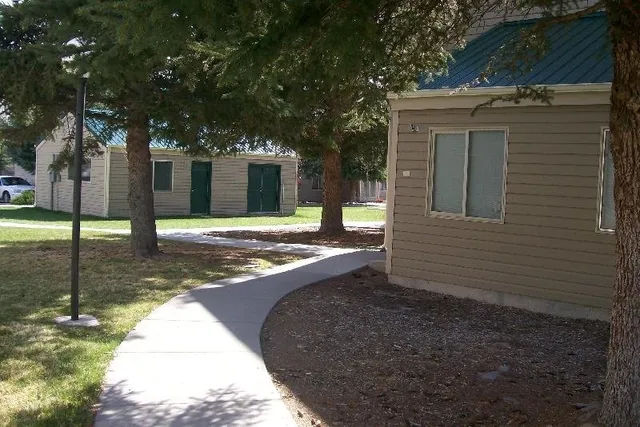 a view of a house with backyard and tree