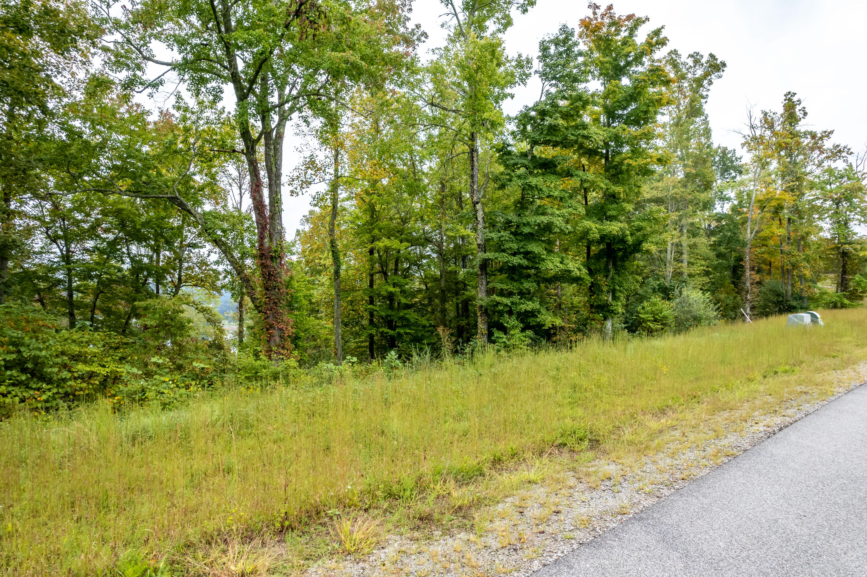 2 South Rivers Lane, Unit 586 La Follette, TN 37766 - Photo 21 of 23 sunset cove-48