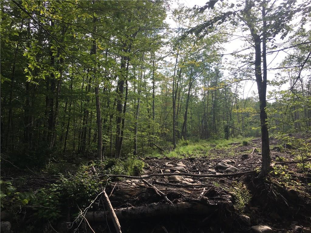 Tbd Tbd Tax Map R2-07 Temple, ME 04984 - Photo 5 of 6 Photo