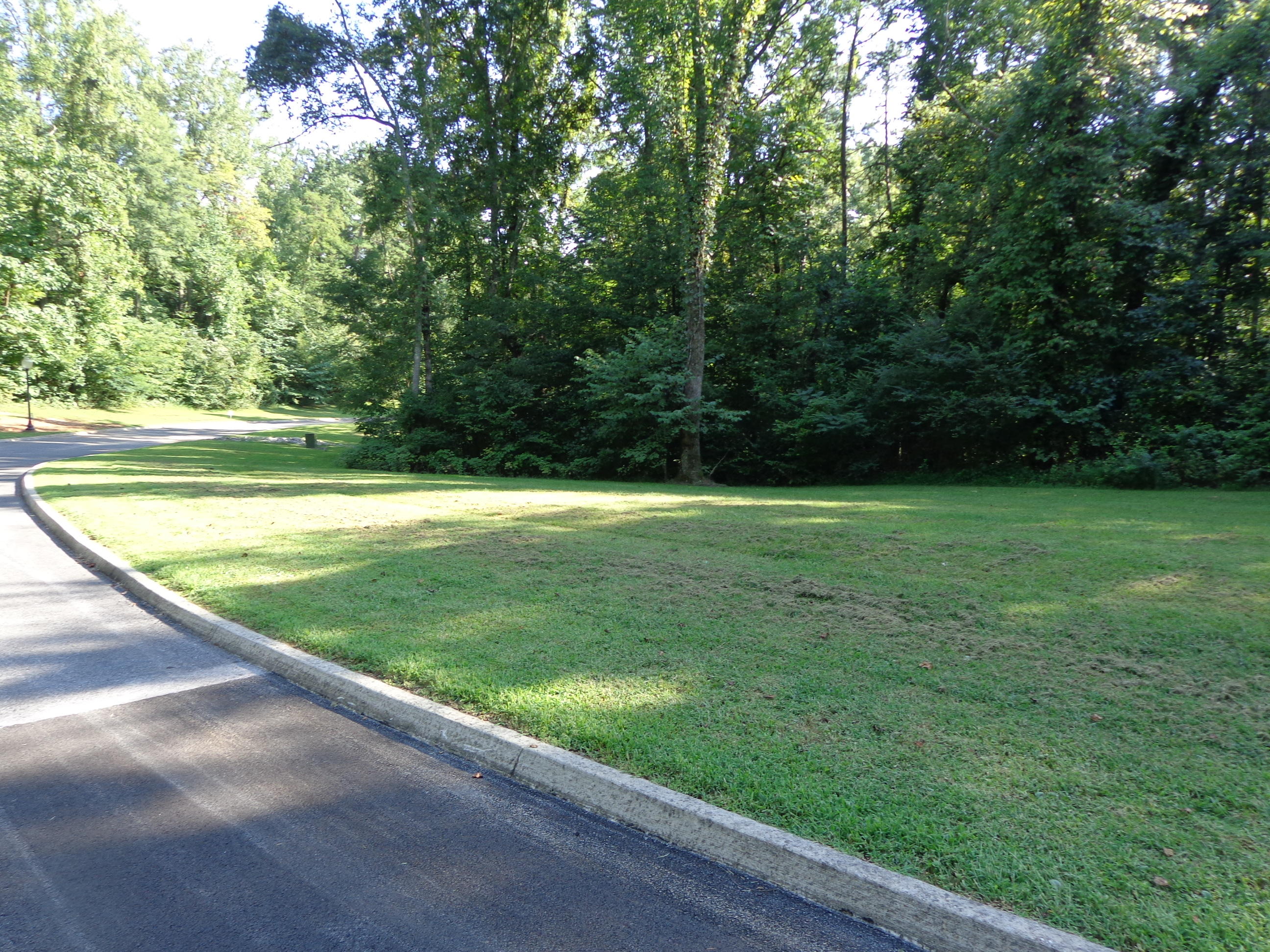 Lot 23 Meadowood Road Newport, TN 37821 - Photo 5 of 19 DSC06395