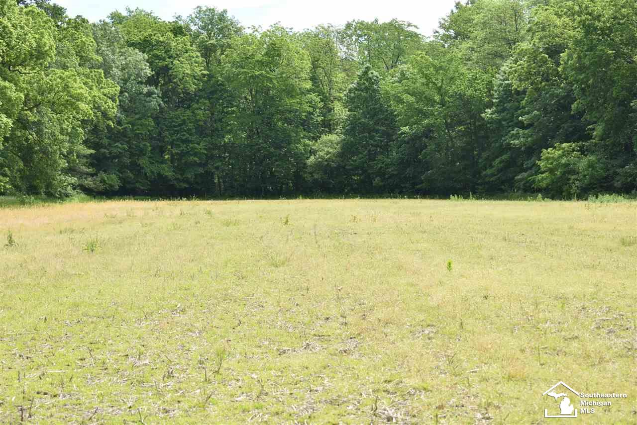 1 Wilcox Road Dundee, MI 48131 - Photo 4 of 9