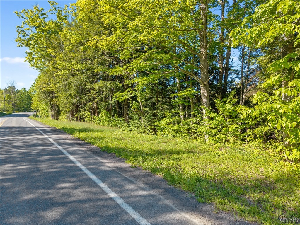 Nelson Road Cazenovia, NY 13035 - Photo 2 of 15