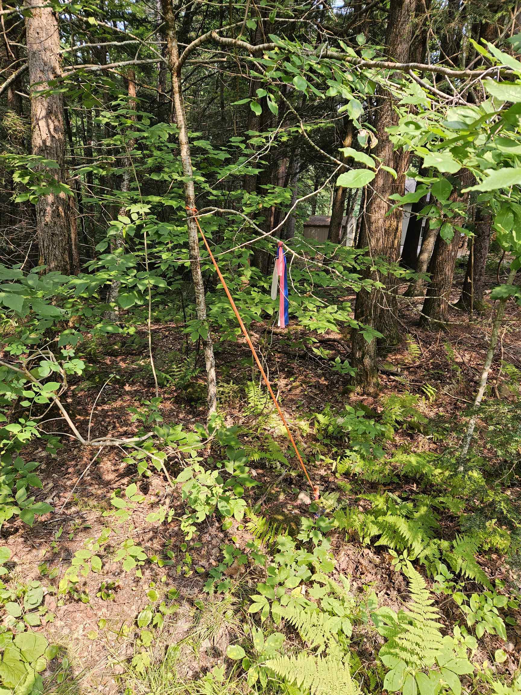 14 Catamount Road Grantham, NH 03753 - Photo 11 of 17