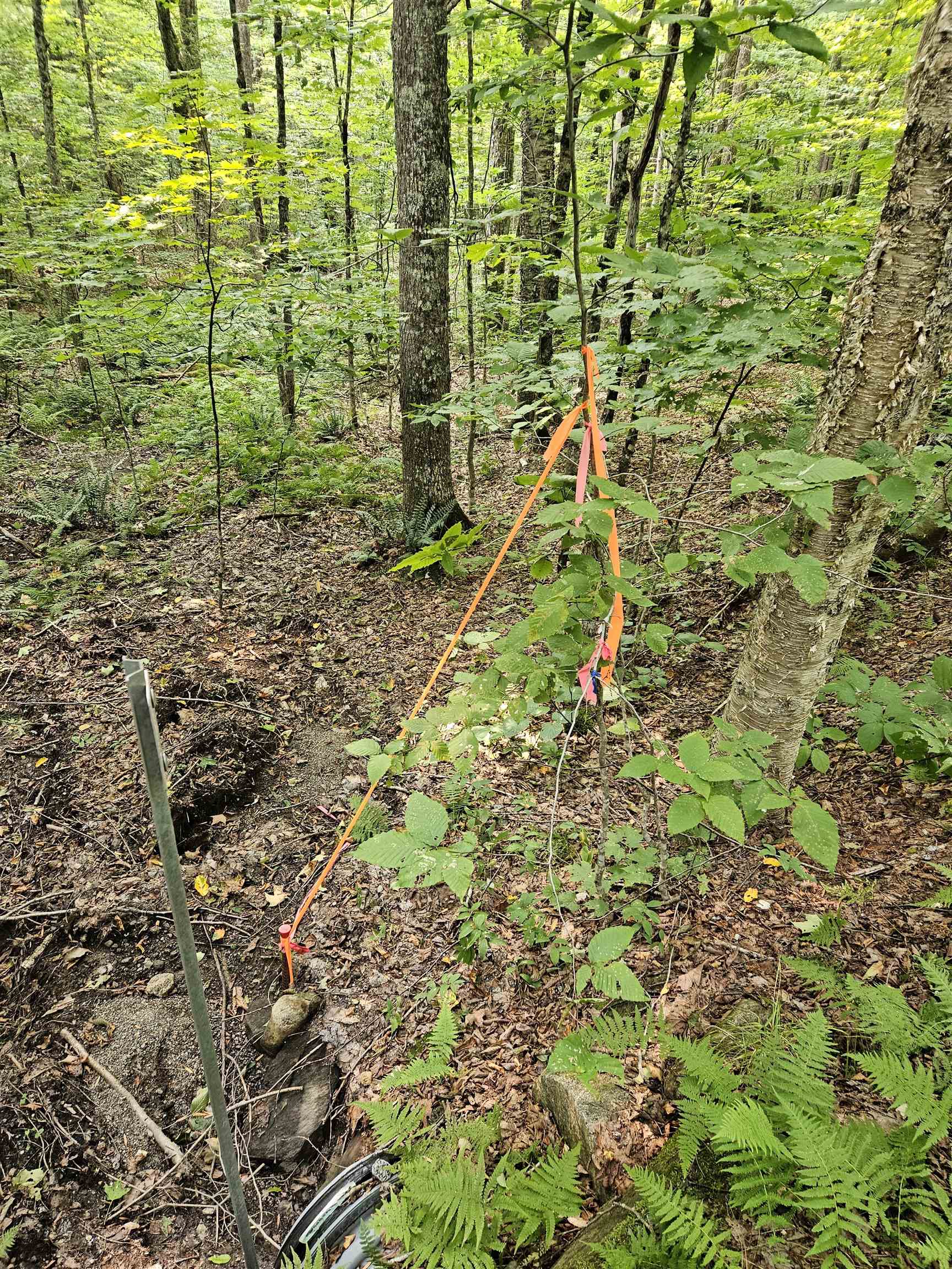 14 Catamount Road Grantham, NH 03753 - Photo 12 of 17