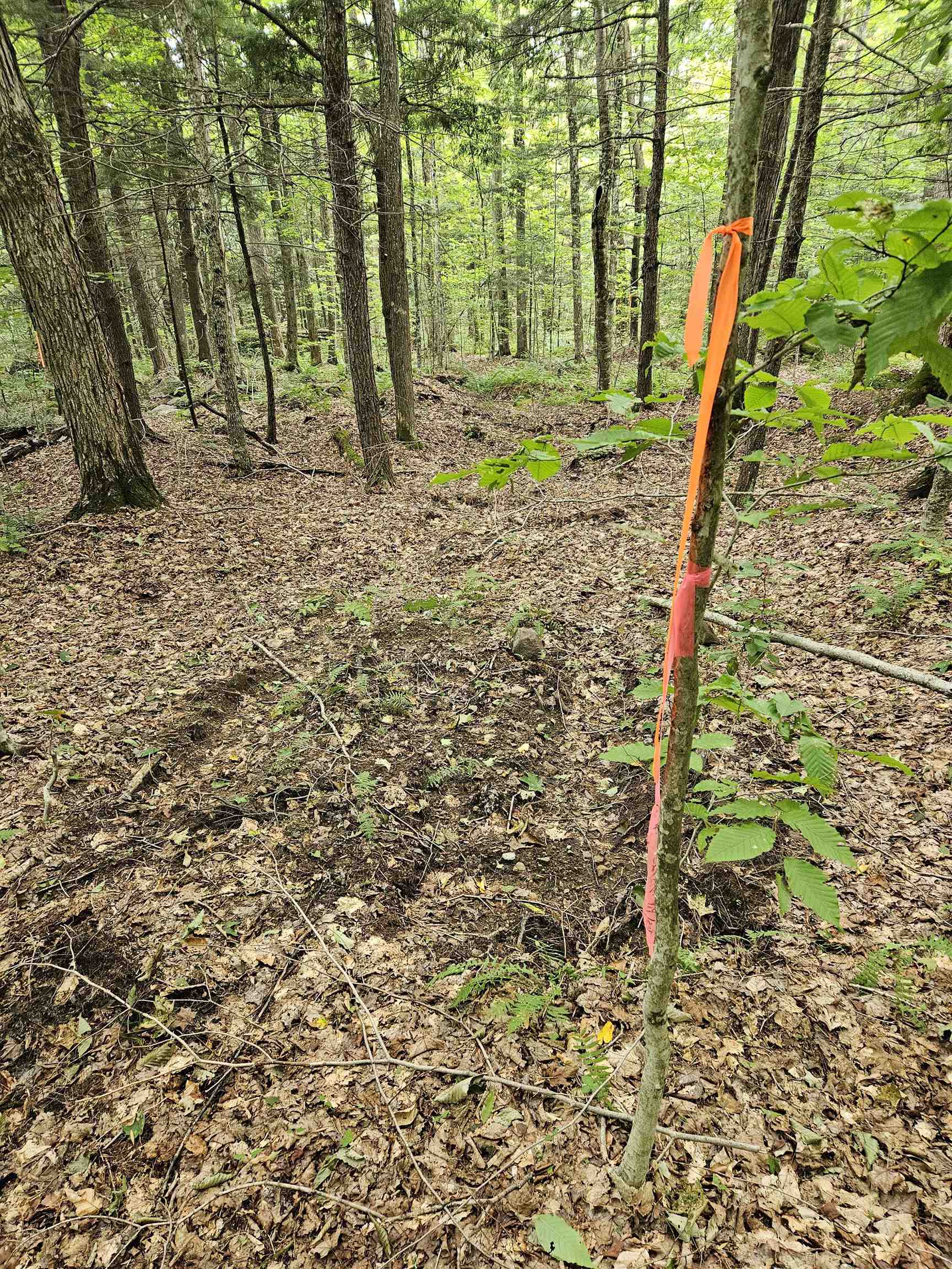 14 Catamount Road Grantham, NH 03753 - Photo 14 of 17