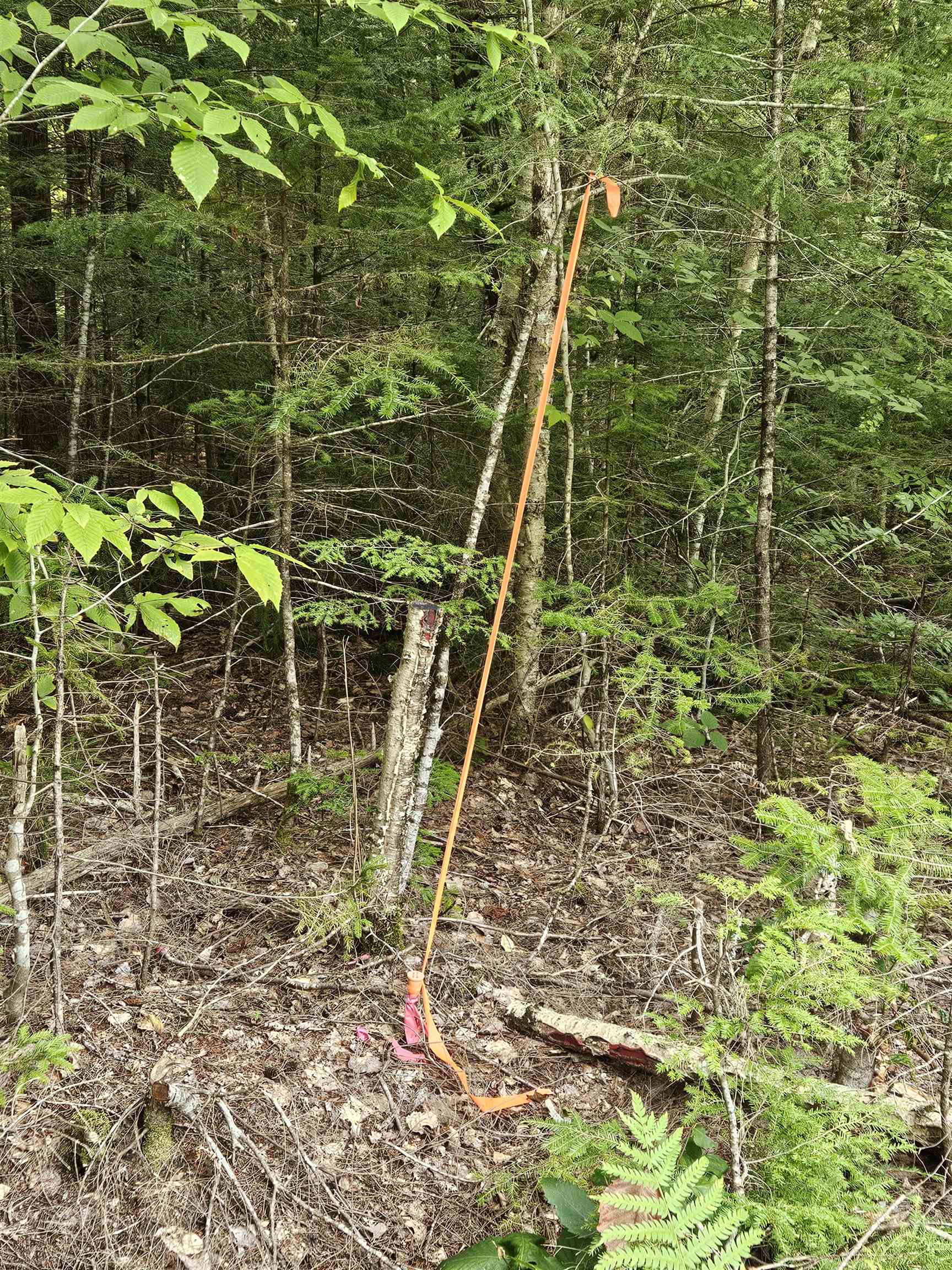 14 Catamount Road Grantham, NH 03753 - Photo 15 of 17