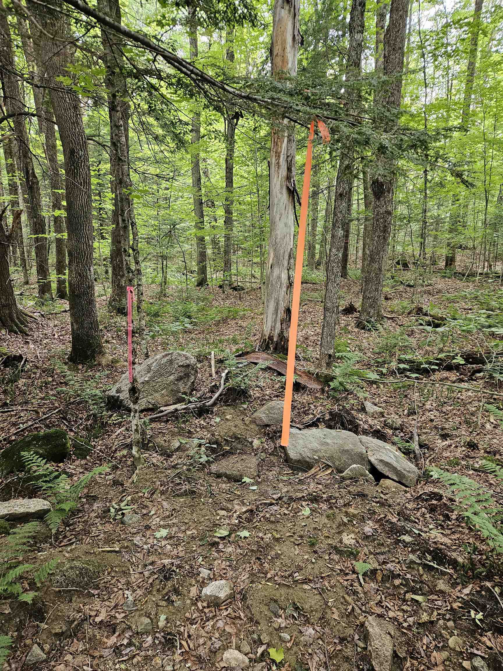 14 Catamount Road Grantham, NH 03753 - Photo 16 of 17