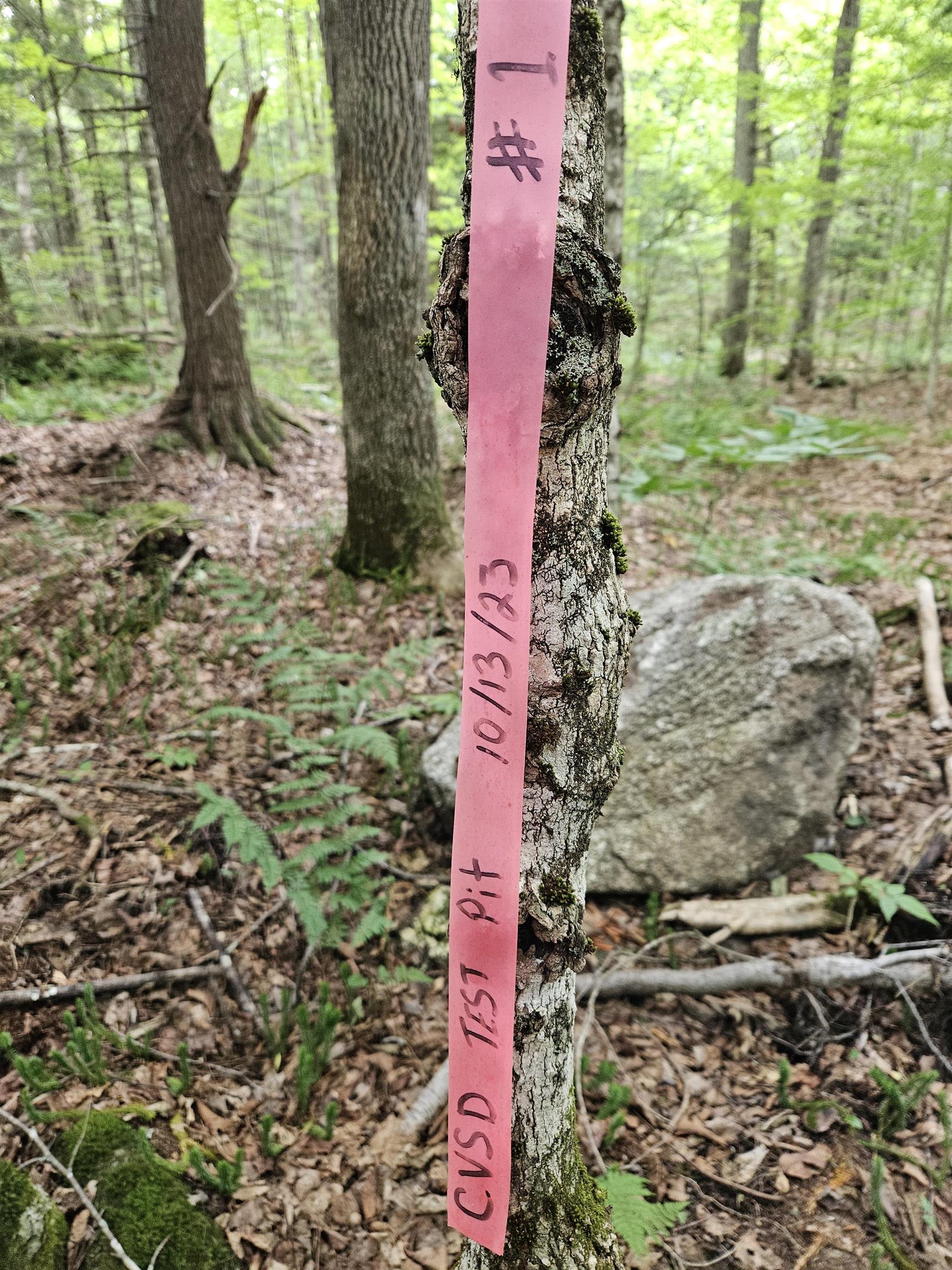 14 Catamount Road Grantham, NH 03753 - Photo 3 of 17